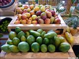 El Mercado de Bayamón - BAYAMÓN